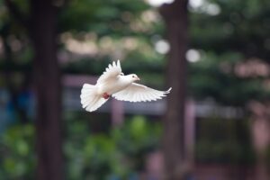保育士がブラックな職場から転職する際のポイントは？